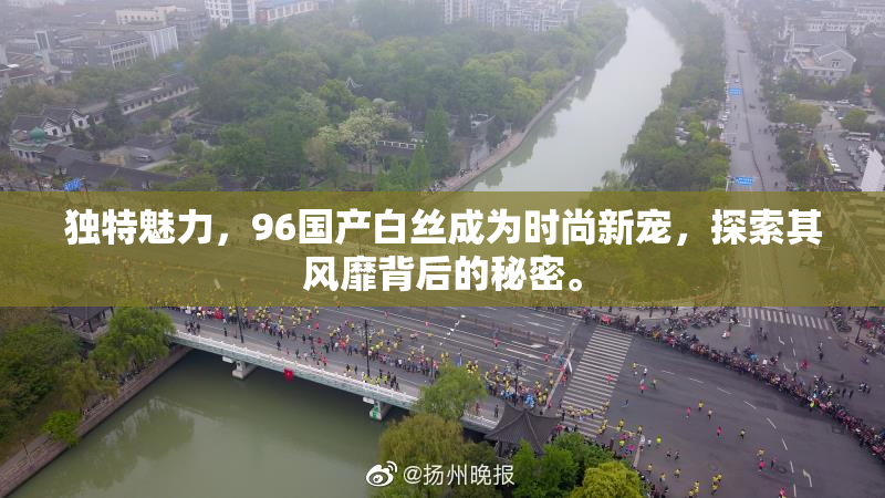 独特魅力，96国产白丝成为时尚新宠，探索其风靡背后的秘密。