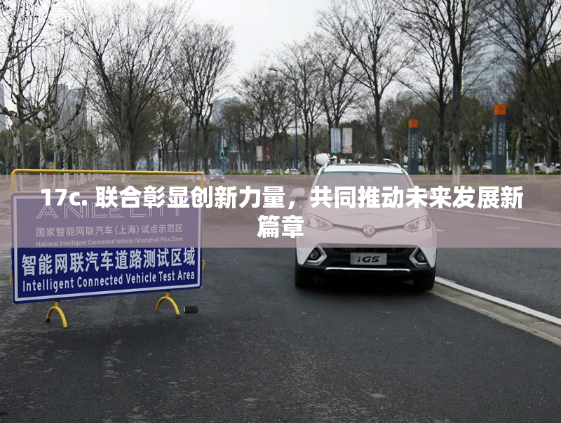 17c. 联合彰显创新力量，共同推动未来发展新篇章