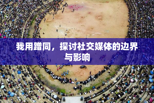 我用蹭同，探讨社交媒体的边界与影响