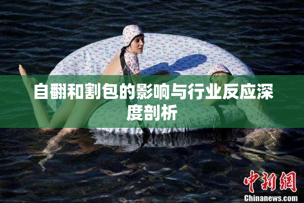 自翻和割包的影响与行业反应深度剖析