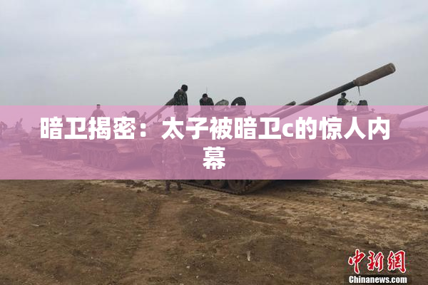暗卫揭密：太子被暗卫c的惊人内幕