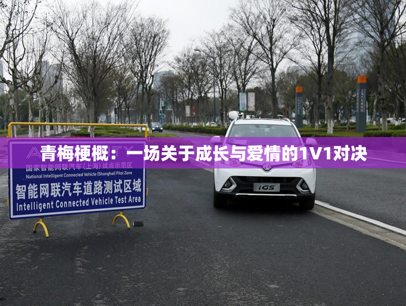 青梅梗概：一场关于成长与爱情的1V1对决