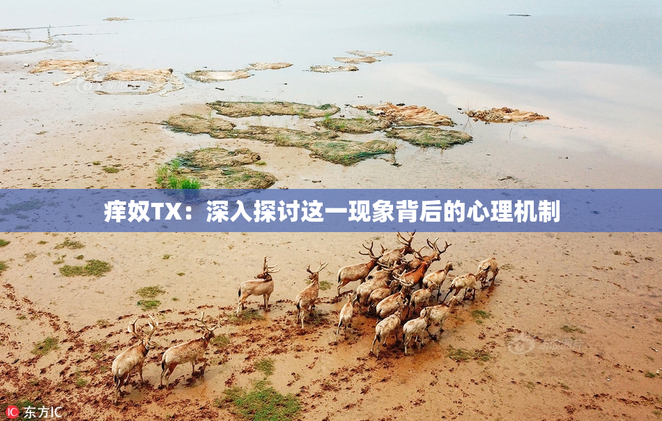 痒奴TX：深入探讨这一现象背后的心理机制