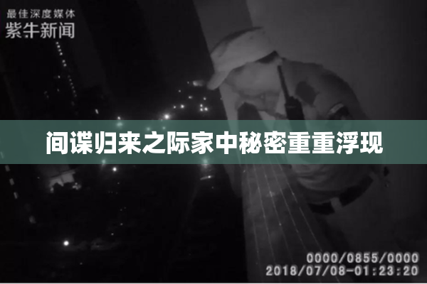 间谍归来之际家中秘密重重浮现
