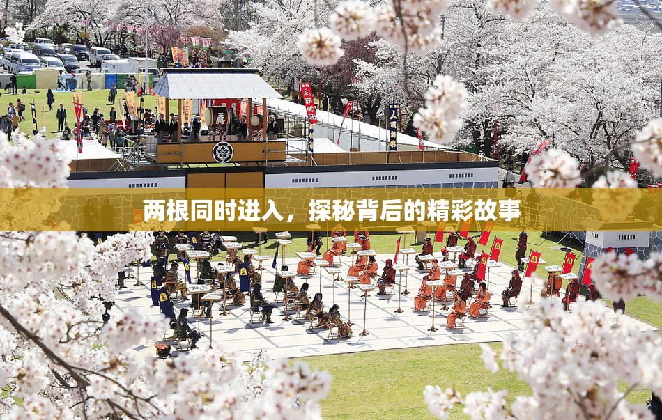 两根同时进入，探秘背后的精彩故事