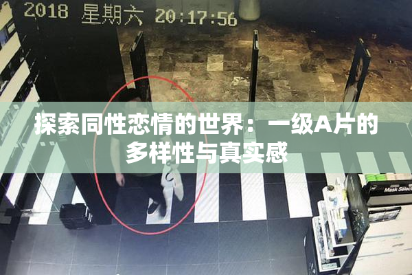 探索同性恋情的世界：一级A片的多样性与真实感