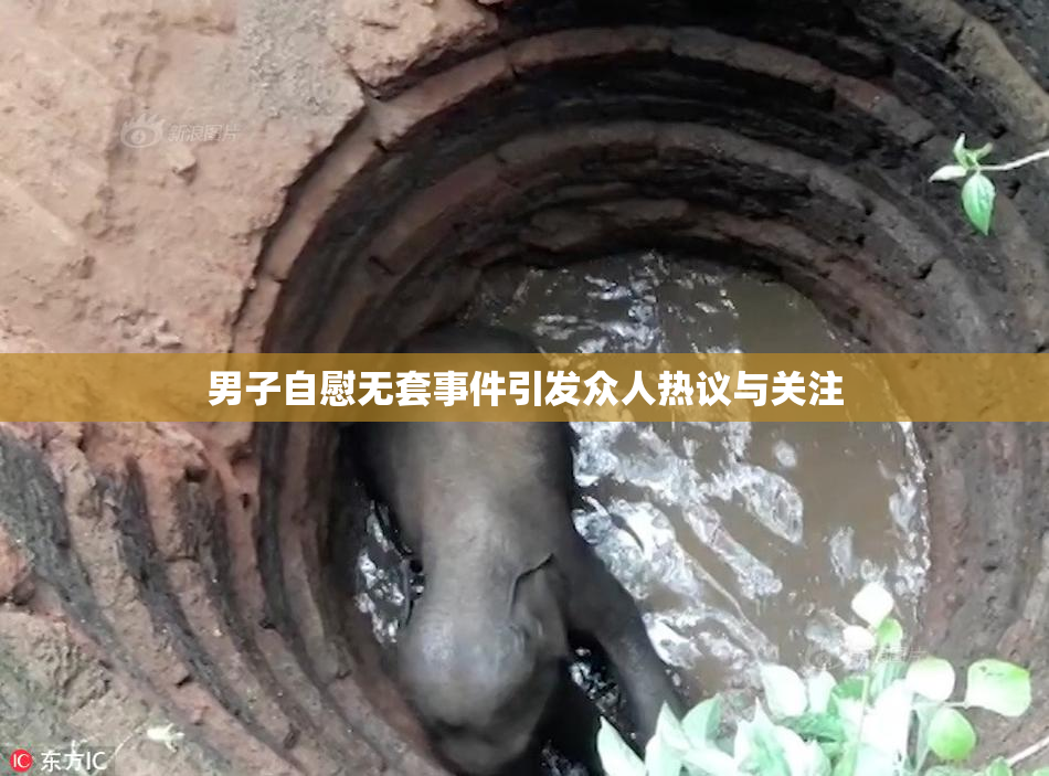 男子自慰无套事件引发众人热议与关注
