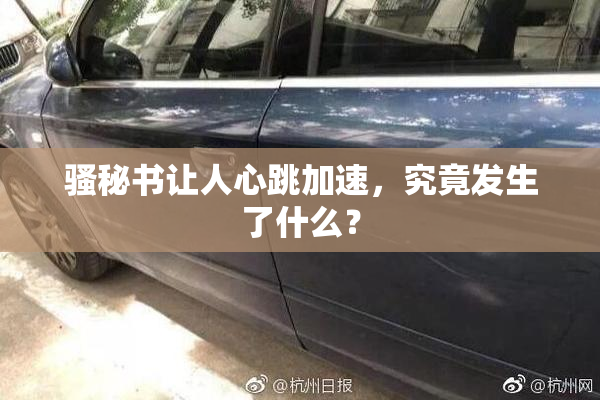 骚秘书让人心跳加速，究竟发生了什么？