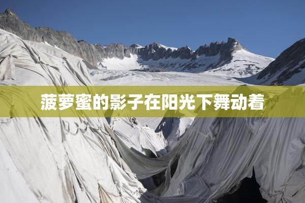 菠萝蜜的影子在阳光下舞动着