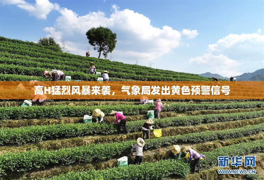 高H猛烈风暴来袭，气象局发出黄色预警信号