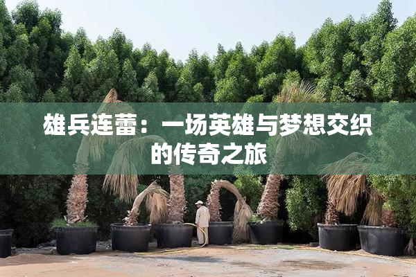 雄兵连蕾：一场英雄与梦想交织的传奇之旅