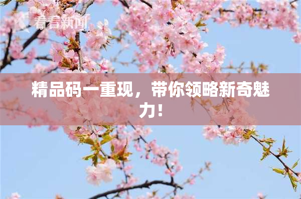 精品码一重现，带你领略新奇魅力！