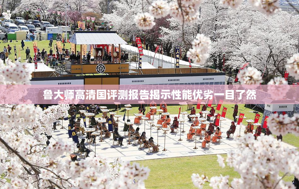 鲁大师高清国评测报告揭示性能优劣一目了然