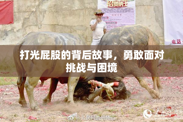 打光屁股的背后故事，勇敢面对挑战与困境