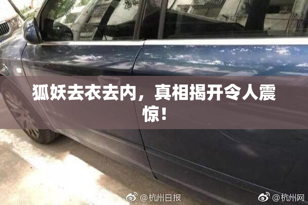 狐妖去衣去内，真相揭开令人震惊！