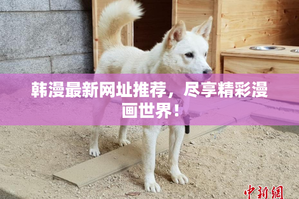 韩漫最新网址推荐，尽享精彩漫画世界！