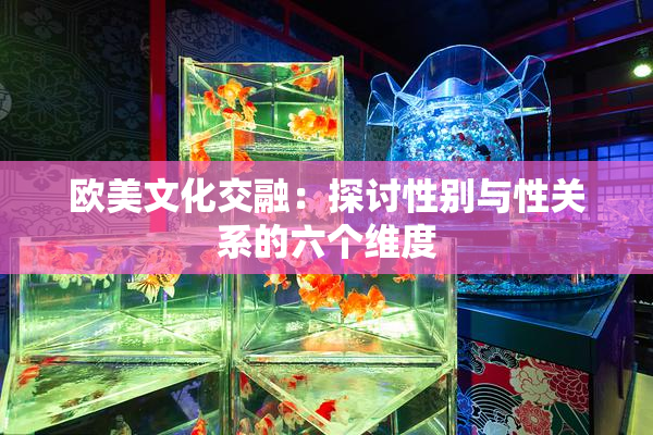 欧美文化交融：探讨性别与性关系的六个维度