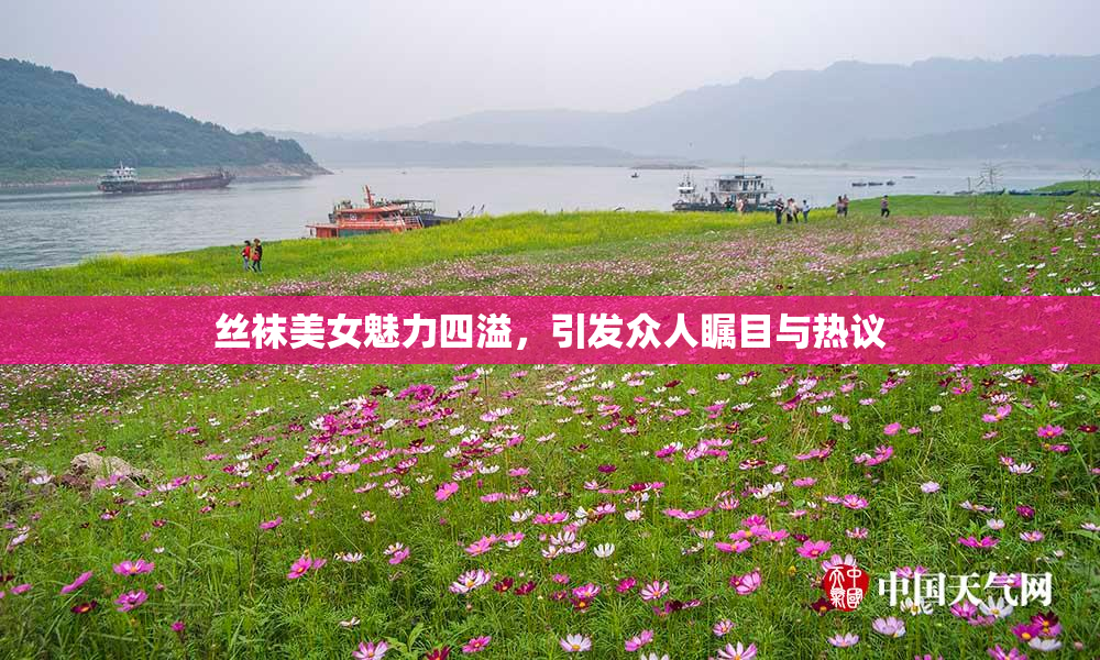 丝袜美女魅力四溢，引发众人瞩目与热议