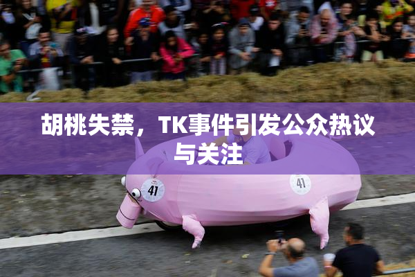 胡桃失禁，TK事件引发公众热议与关注