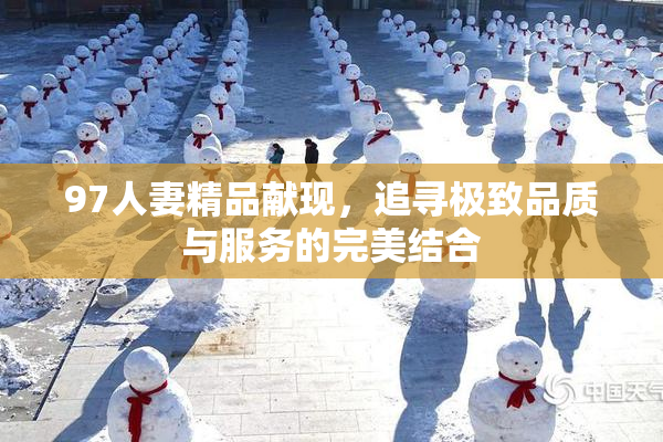 97人妻精品献现，追寻极致品质与服务的完美结合