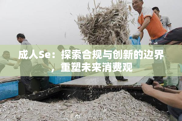 成人Se：探索合规与创新的边界，重塑未来消费观
