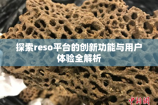 探索reso平台的创新功能与用户体验全解析