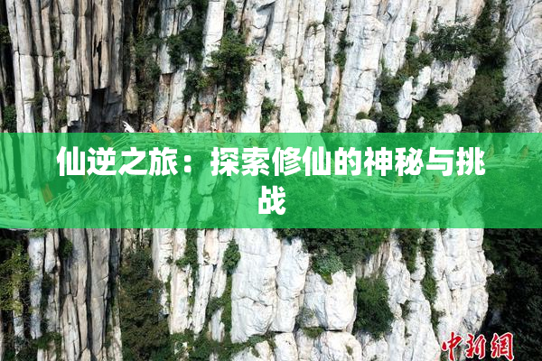 仙逆之旅：探索修仙的神秘与挑战