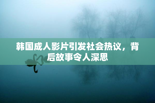 韩国成人影片引发社会热议，背后故事令人深思
