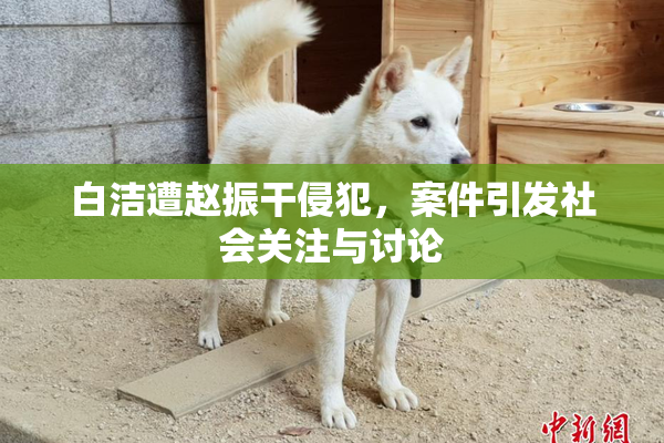白洁遭赵振干侵犯，案件引发社会关注与讨论