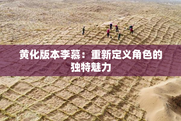 黄化版本李慕：重新定义角色的独特魅力