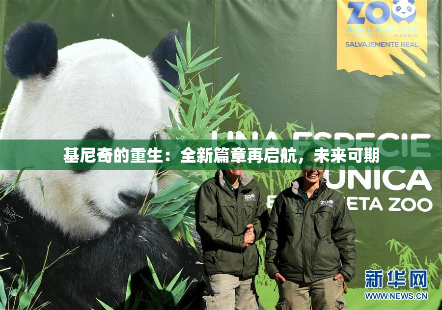 基尼奇的重生：全新篇章再启航，未来可期