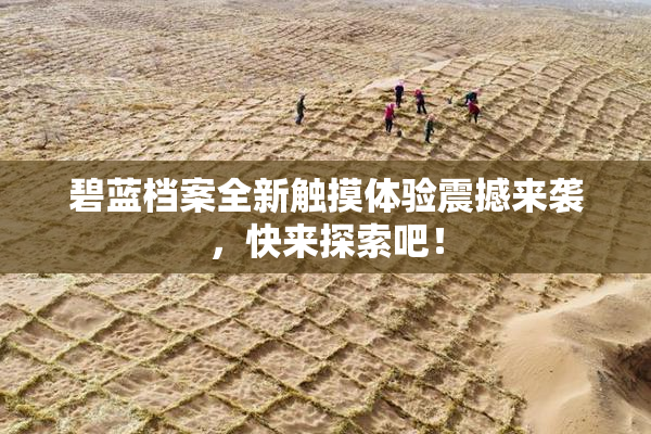 碧蓝档案全新触摸体验震撼来袭，快来探索吧！
