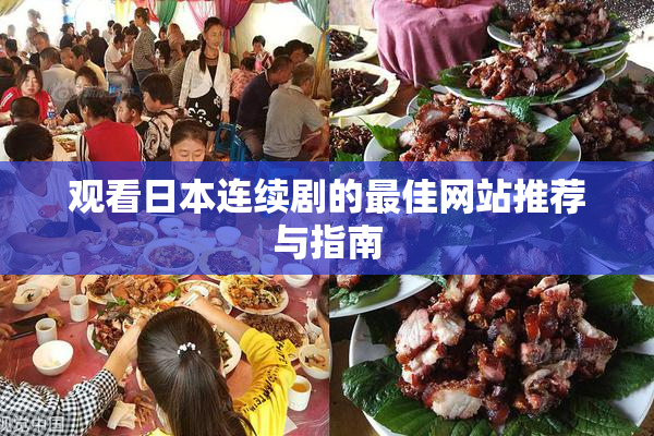 观看日本连续剧的最佳网站推荐与指南