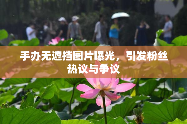 手办无遮挡图片曝光，引发粉丝热议与争议