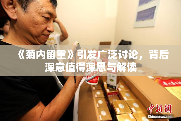 《菊内留重》引发广泛讨论，背后深意值得深思与解读