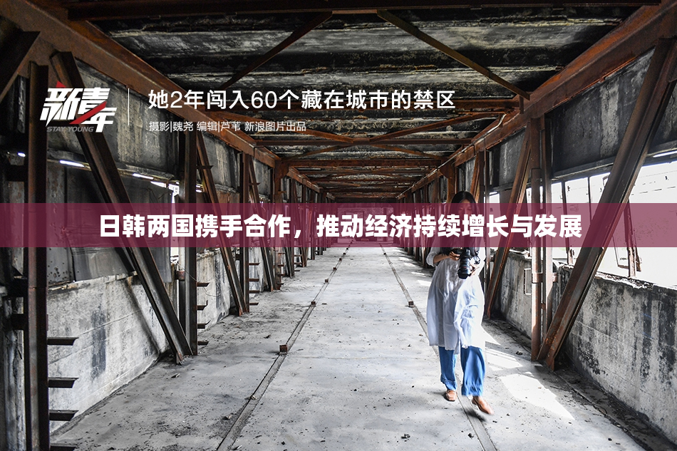 日韩两国携手合作，推动经济持续增长与发展