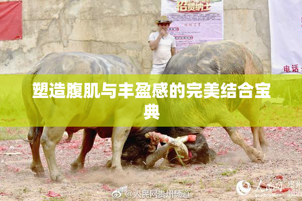 塑造腹肌与丰盈感的完美结合宝典