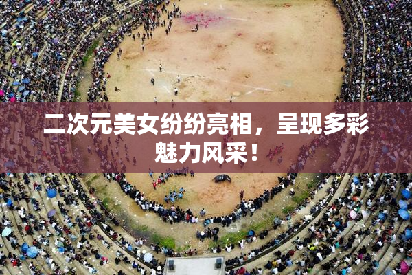 二次元美女纷纷亮相，呈现多彩魅力风采！
