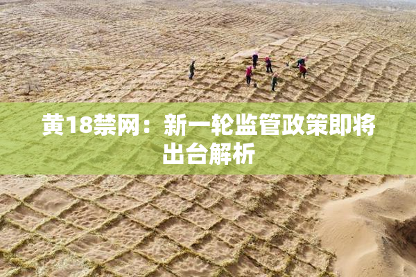 黄18禁网：新一轮监管政策即将出台解析