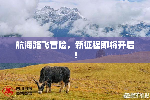 航海路飞冒险，新征程即将开启！