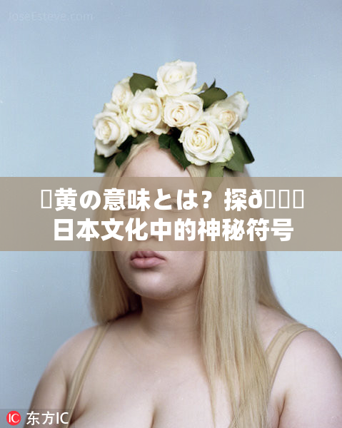 ✿黄の意味とは？探🌃日本文化中的神秘符号