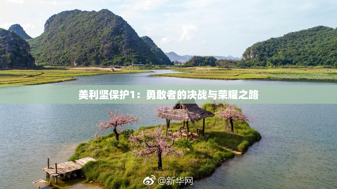 美利坚保护1：勇敢者的决战与荣耀之路