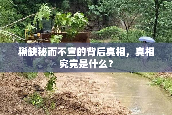 稀缺秘而不宣的背后真相，真相究竟是什么？