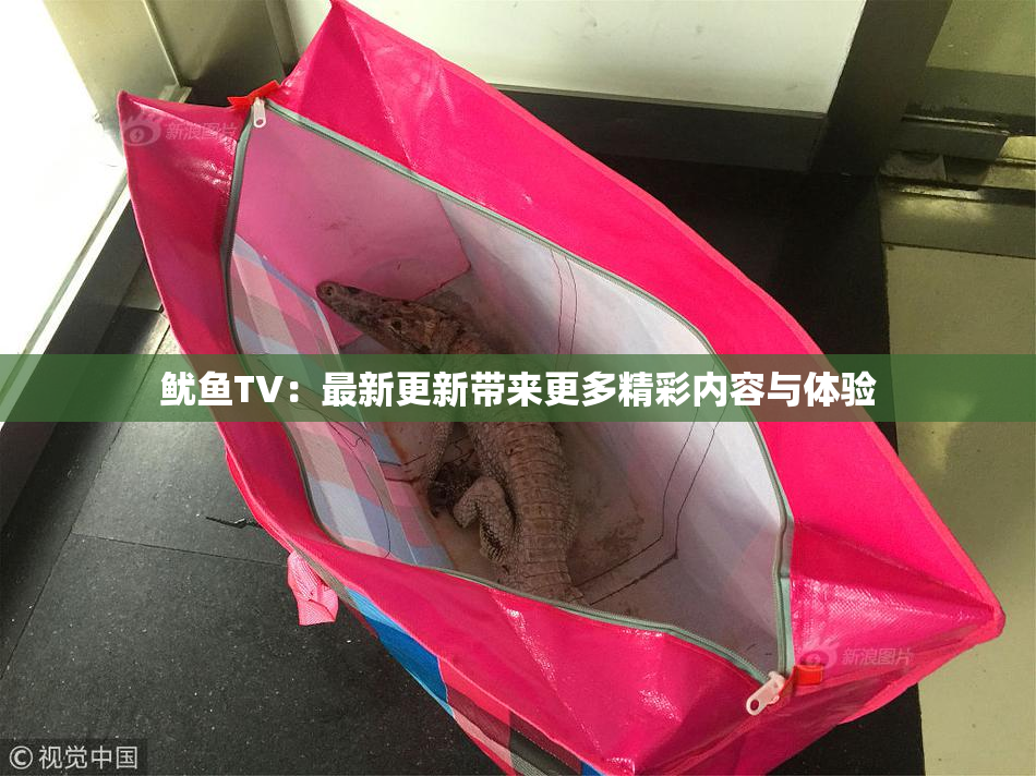 鱿鱼TV：最新更新带来更多精彩内容与体验