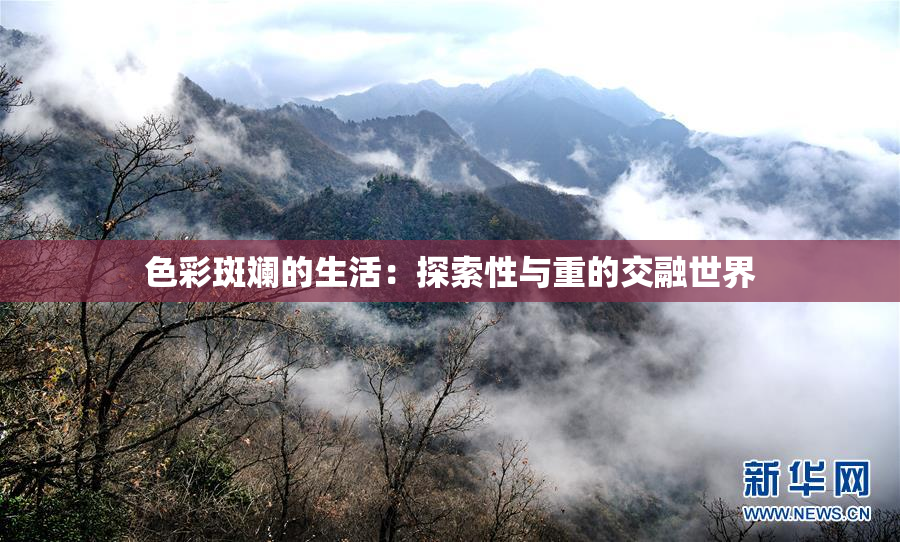 色彩斑斓的生活：探索性与重的交融世界