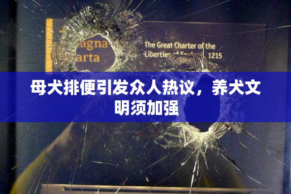 母犬排便引发众人热议，养犬文明须加强