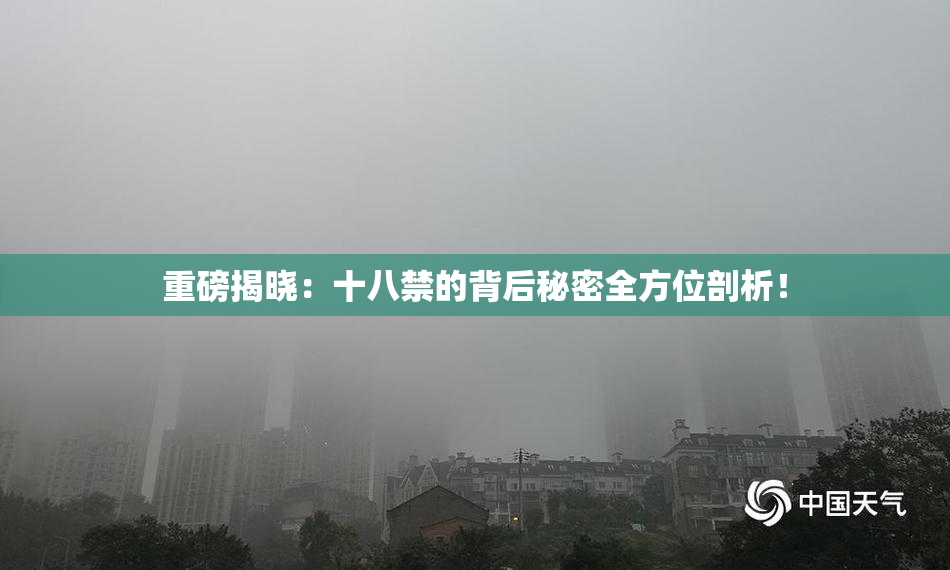 重磅揭晓：十八禁的背后秘密全方位剖析！