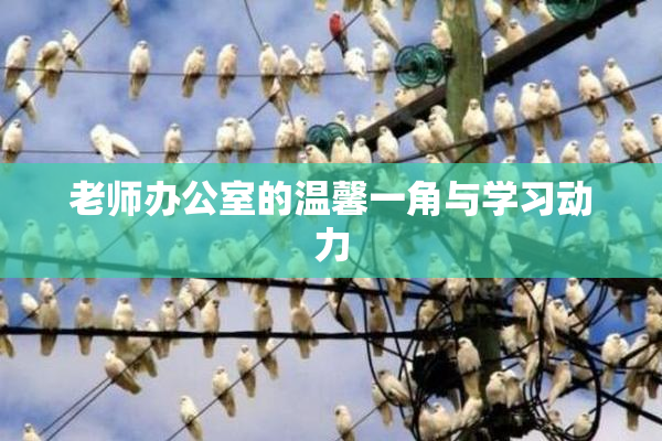 老师办公室的温馨一角与学习动力