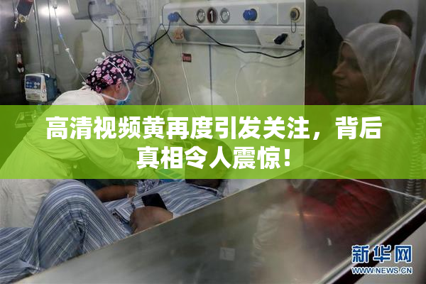 高清视频黄再度引发关注，背后真相令人震惊！