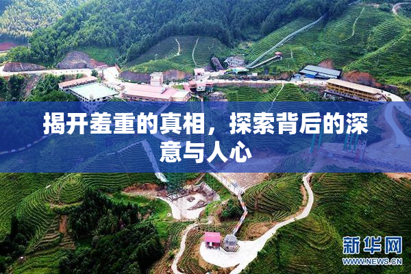 揭开羞重的真相，探索背后的深意与人心